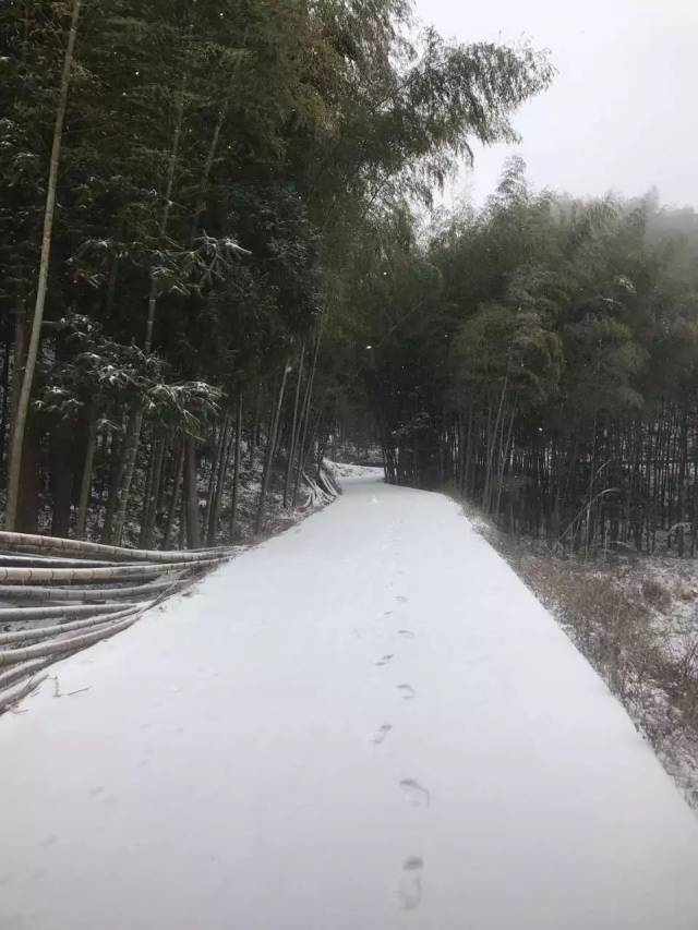 桥头今天终于下雪了,这雪景.啧啧,我看了一遍又一遍