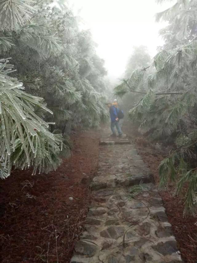 当安仁罗树丽的歌声遇到熊峰山的雪景.