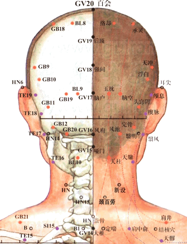 按摩能疏通经络,行气活血,理筋复位,治疗各型颈椎病.