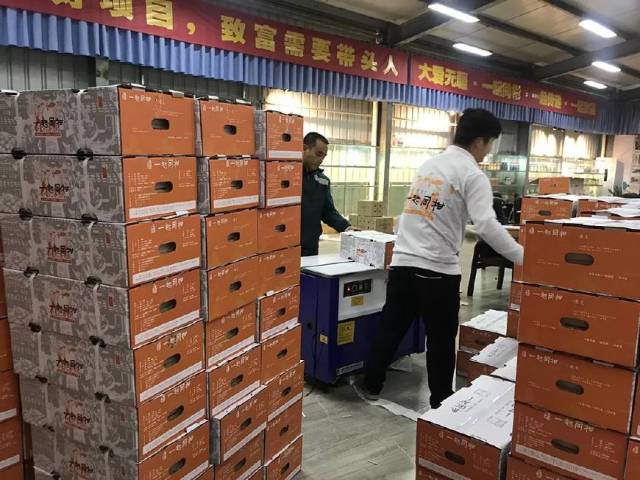 广西乐土科技集团乐土三桦生态种植基地沃柑开园仪式