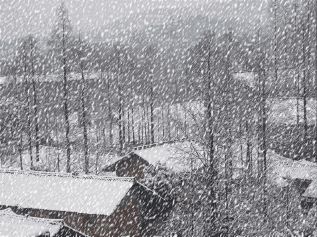 记忆中的下雪天很温暖