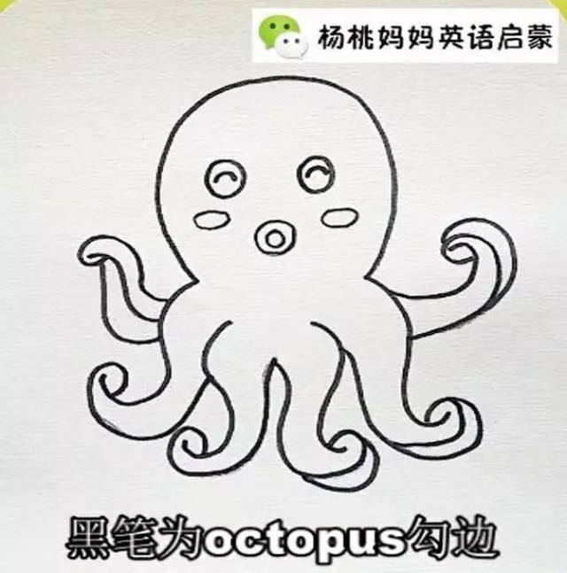 英语萌萌画 | octopus章鱼