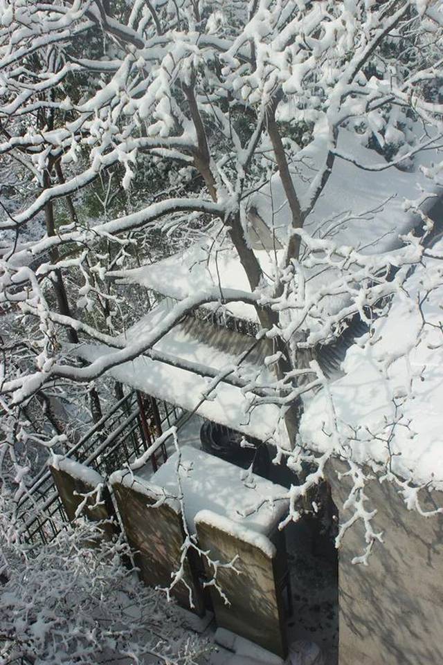 我大牌头的雪景,原来可以这么美…一大波雪景图来袭