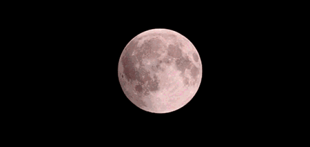 647cc0bc8e8b48a7a04914284810efc0.gif