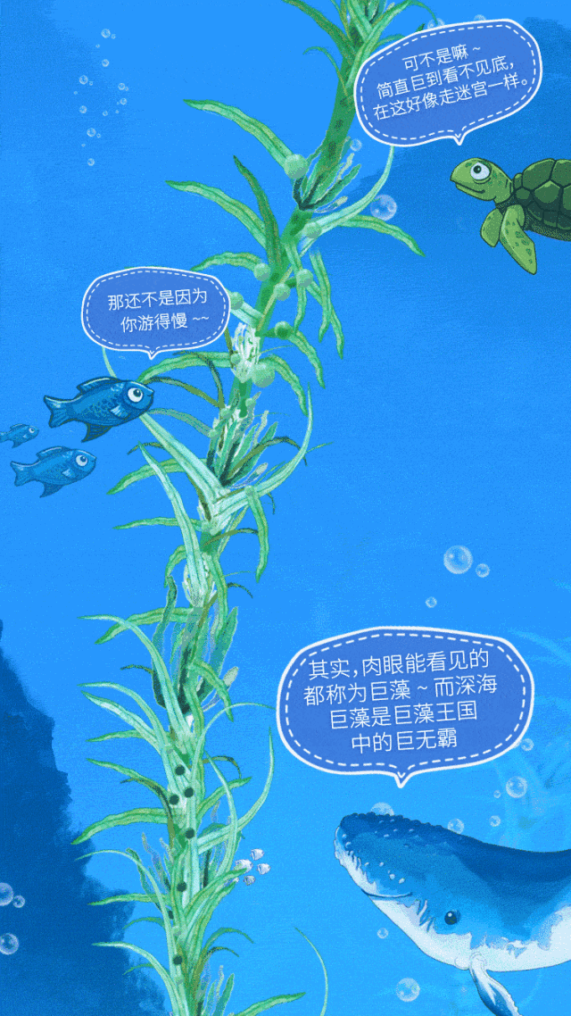 640_1138 竖版 竖屏