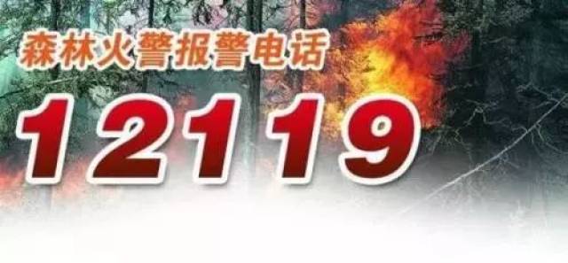 【涨知识】森林火灾报警电话是多少?12119您必须要记牢!