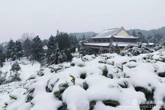 吉水大东山雪景美图!