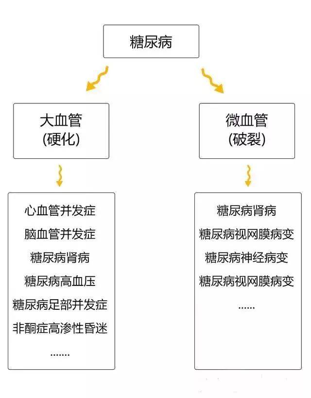 图解| 糖尿病的形成过程