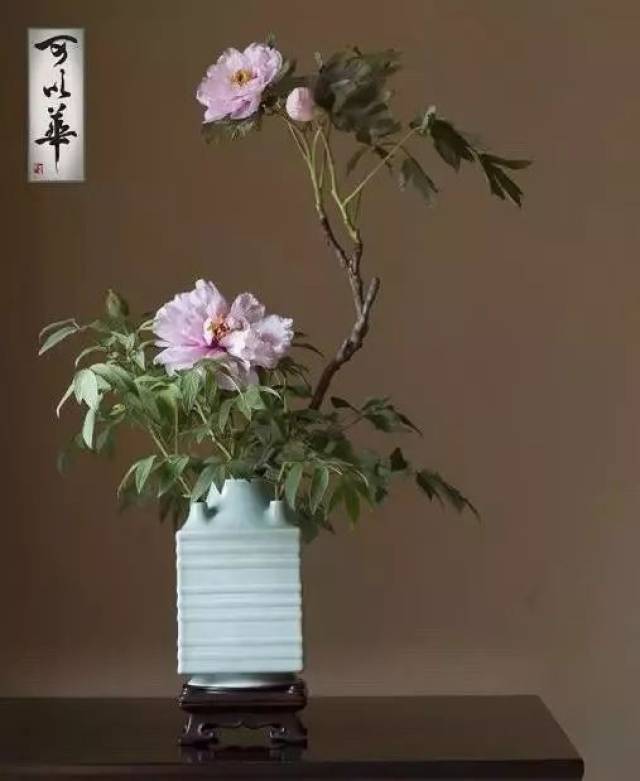 孙可老师插花作品-可以华(摄影:张大拉) 再次遇上是国内一个古玩艺术