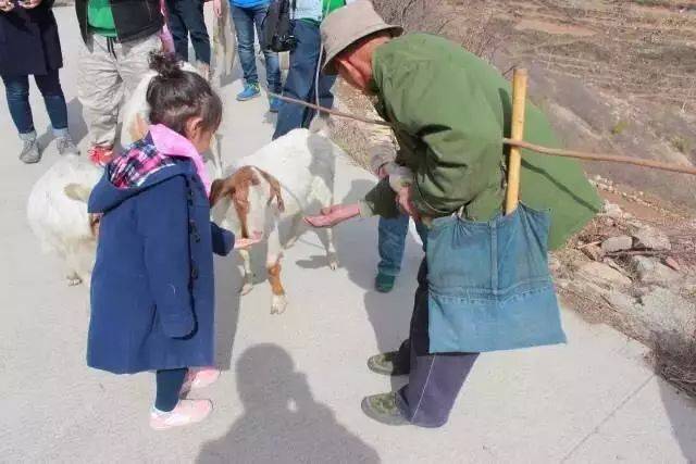 楼纳乡建课堂 · 李谦:西井峪乡村行动计划 | 一
