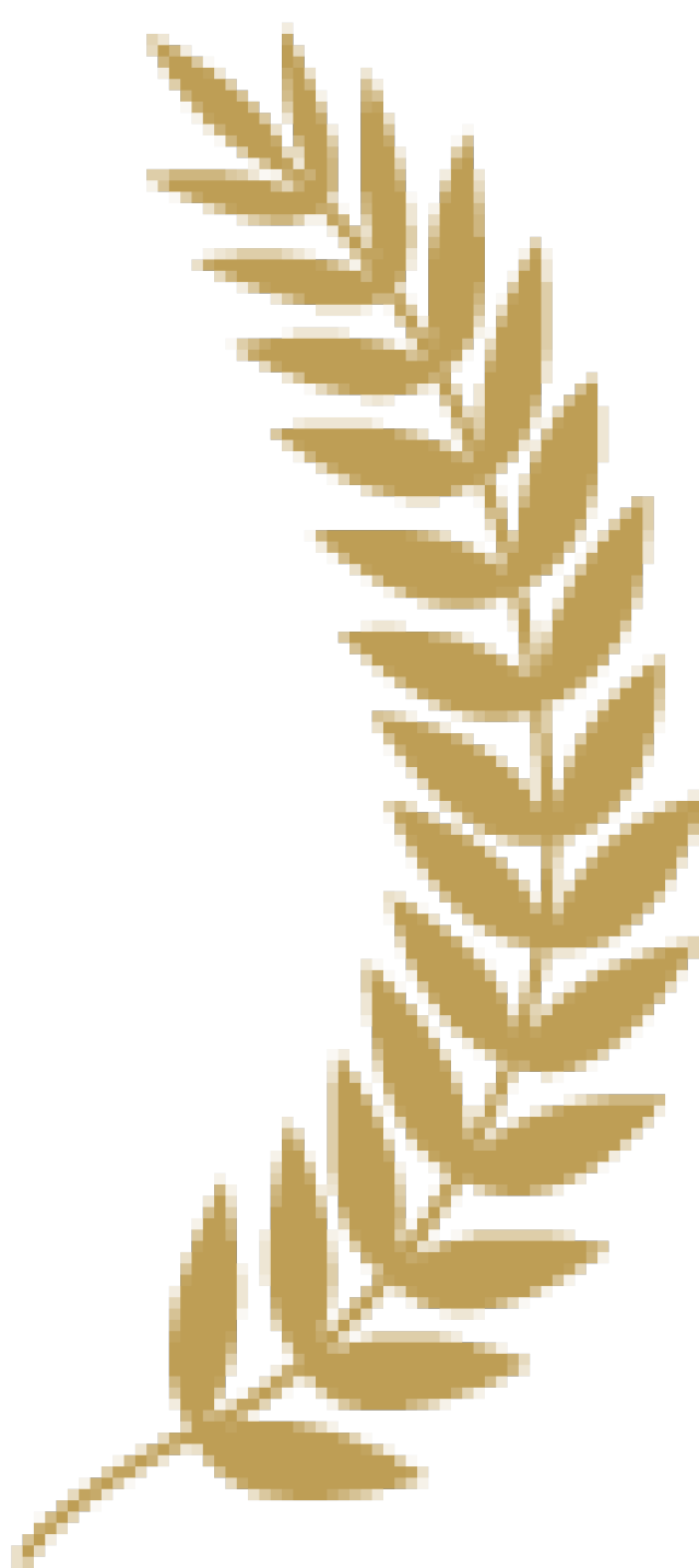 ѧУ2018Ϸݡֱרҵѧɹչݣ