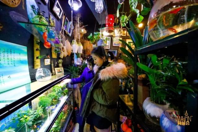 探访武汉最大的鲜花市场,卖花像卖菜!