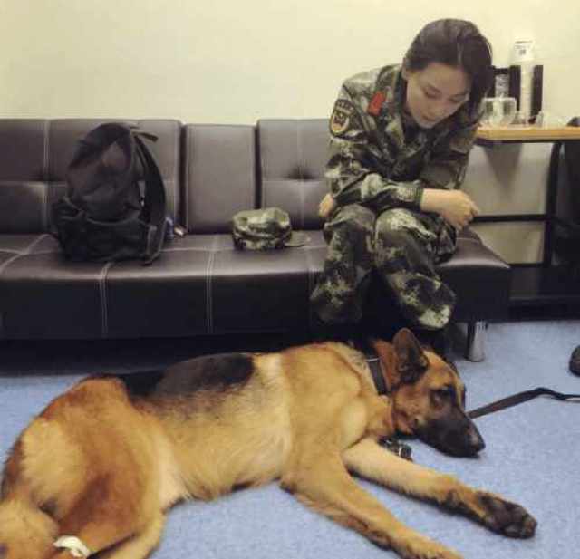 神兵奇犬: 张馨予难舍爱犬, 全身上下都是磕了碰了被狗咬的伤痕