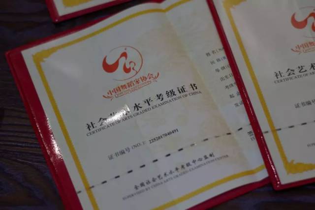 【绽放出自己的色彩】中国舞蹈家协会考级证书!