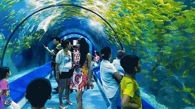 640_360gif 动态图 动图
