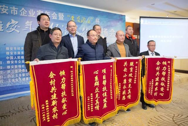 榜样示范 推动雅安经济高质量发展 2017年度雅