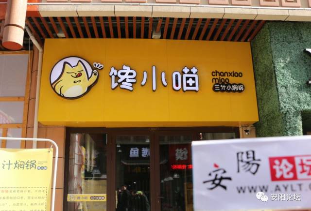 【探店】安阳金街美食哪家强?小编带你兜一圈儿!