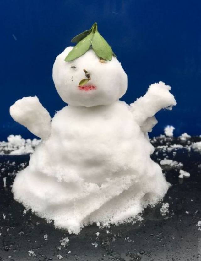 贵阳下雪~刷出各类奇葩雪人!原来高手在民间啊哈哈哈哈