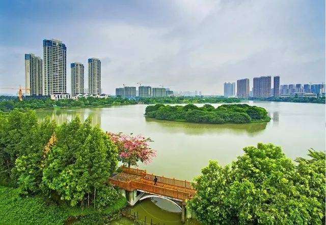 佛山金茂绿岛湖,山,山千灯湖_大山谷图库