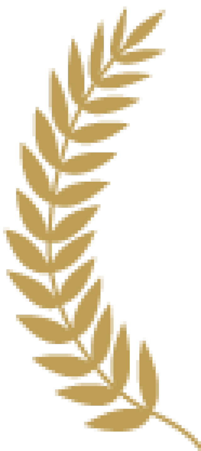 ѧУ2018Ϸݡֱרҵѧɹչݣ