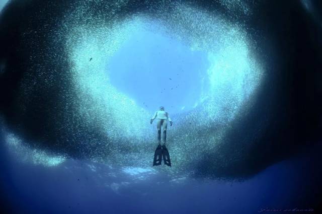 【出发召集】4月1-7日菲律宾墨宝沙丁鱼风暴考