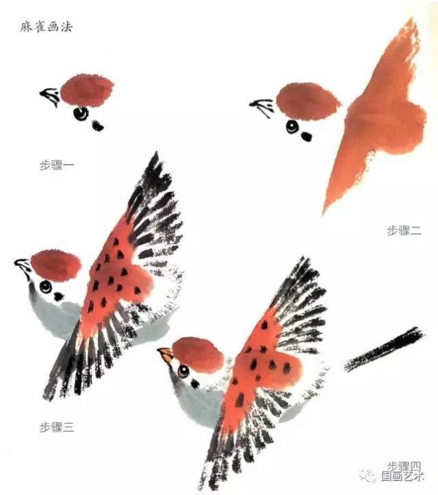 迎春花画法