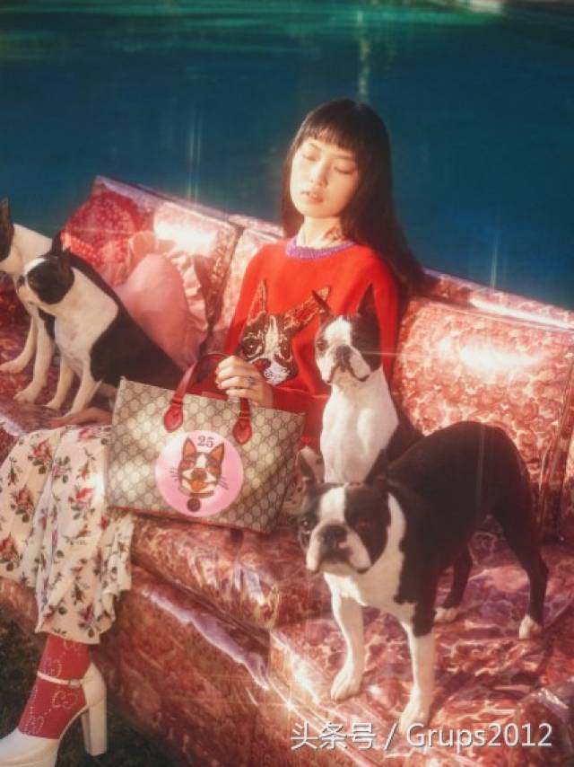 Gucci2018狗年系列广告大片