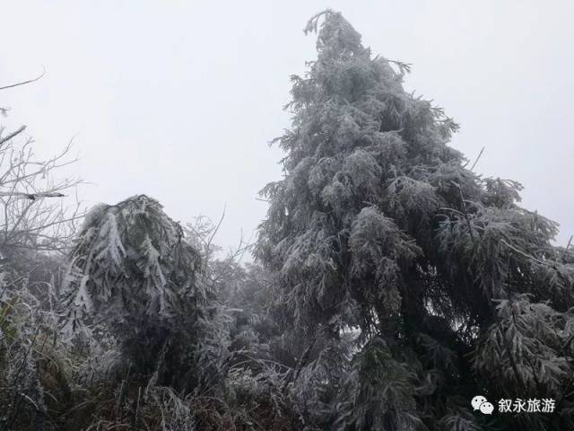 叙永雪山关 叙永县雪山关位于叙永县摩尼镇至赤水镇的路上,海拔1900