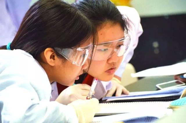 重磅好消息!中芯学校成立高中部啦!