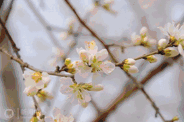 【资讯】天津师范大学这下真的要火了!