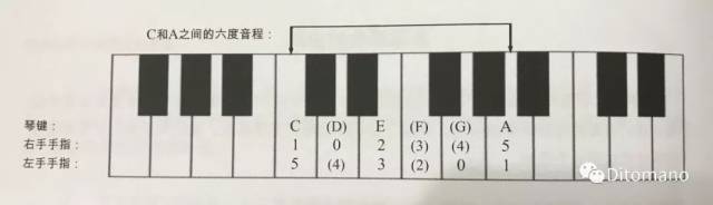 钢琴指法的原则(5)——钢琴指法的基础:五指手位及常规变化