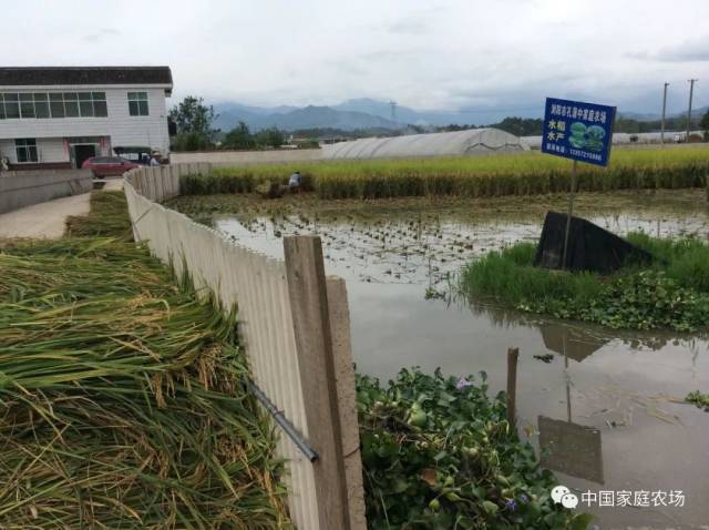 孔蒲中家庭农场位于湖南省浏阳市达浒镇,地理位置优越,交通便利,距