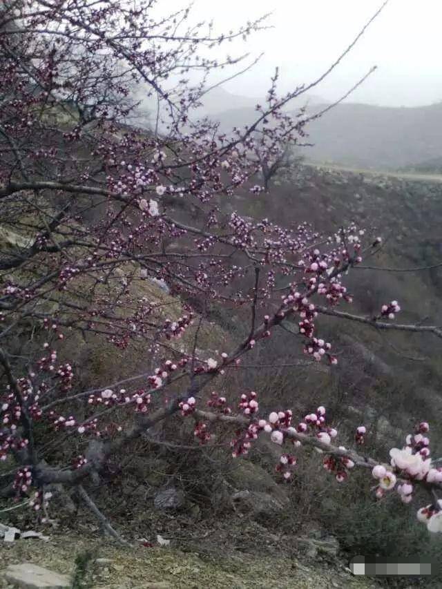 一山跨三县,美景藏不住,登巩义荥阳新密香炉山