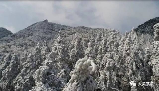 【影像茶陵】大美云阳山 雪景更多娇