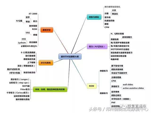 康复基础知识思维导图