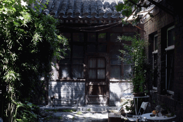 日式太宽泛了,这对胡同小院里的情侣把家过成了缓慢古风的「京都式」!