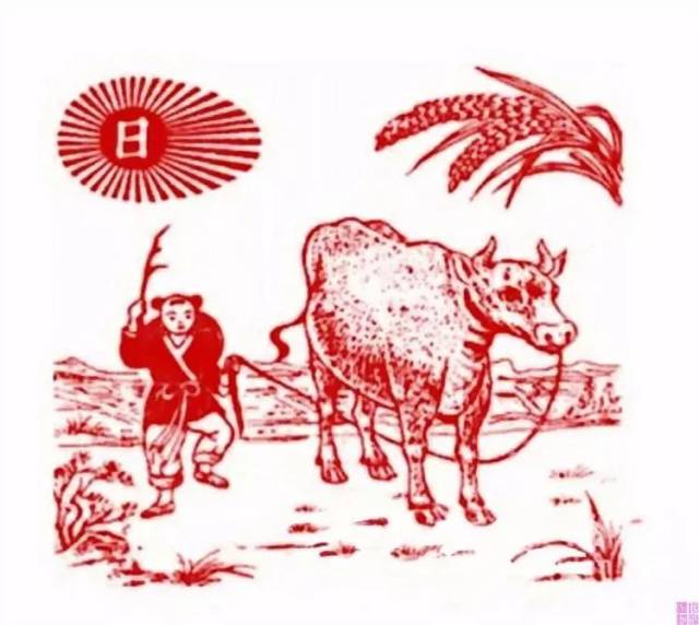 立春前用泥塑春牛,妇女们抱小孩绕春牛转三圈,旧说可以不生病.