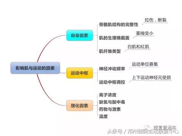 康复基础知识思维导图