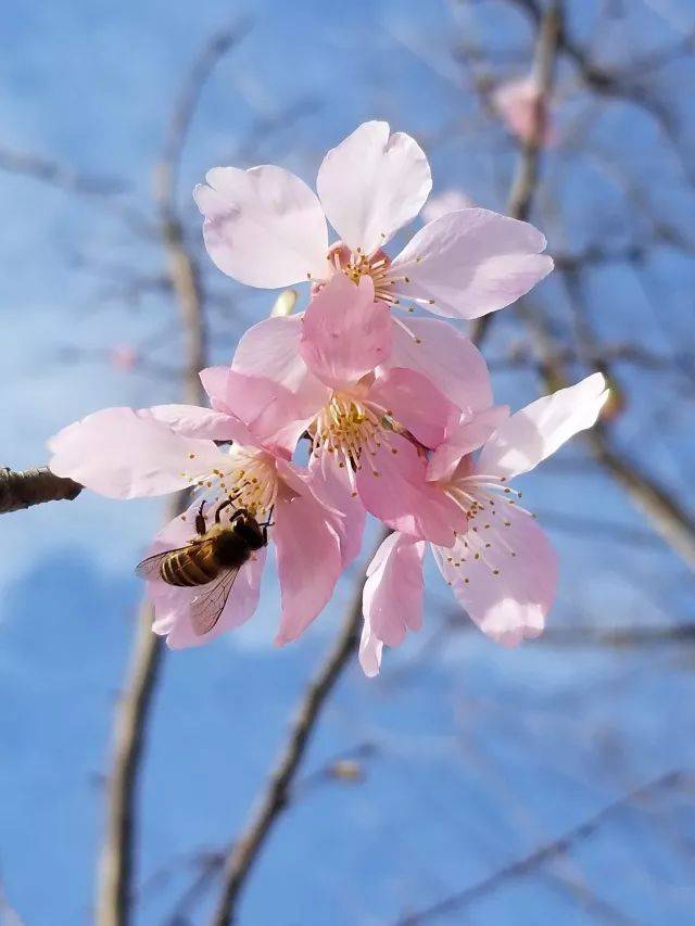 今日立春 | 有人在盼着回家,有人在盼你回家
