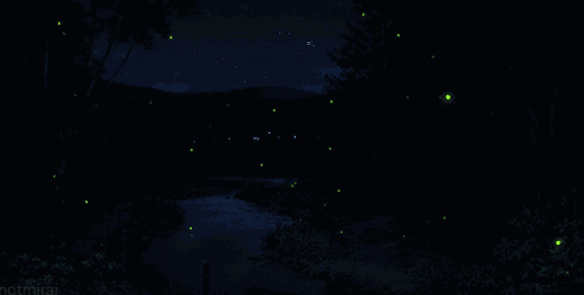 很多小仙女都对bling bling的东西感兴趣! 比如在天空中闪耀的星空.