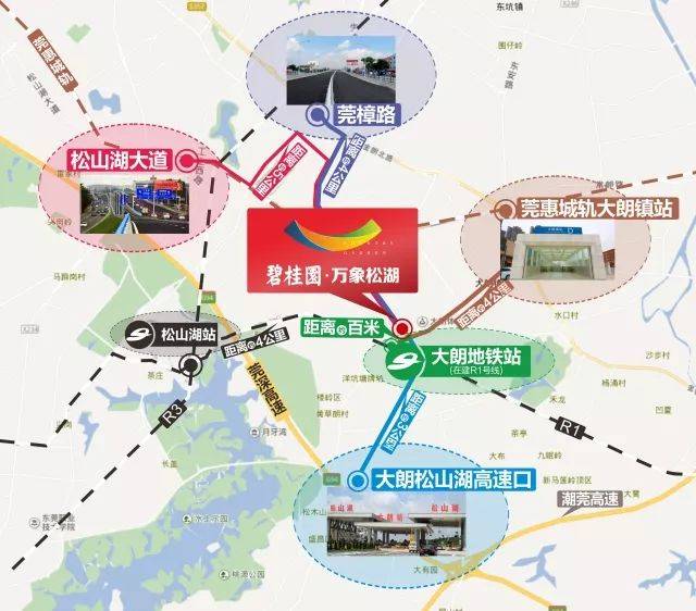 东莞户籍人口2021_东莞地图(3)