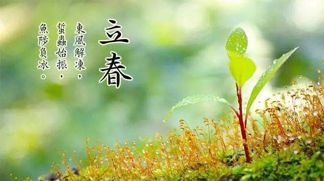 人口立春_立春手抄报(2)