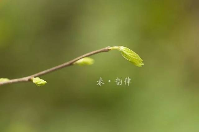 春风得意!事事顺心!