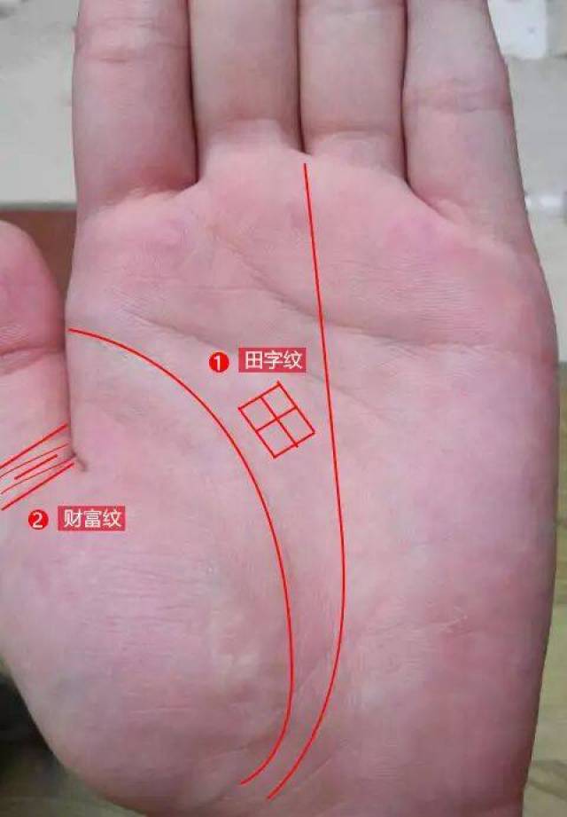 手有田字纹,千万豪宅不愁