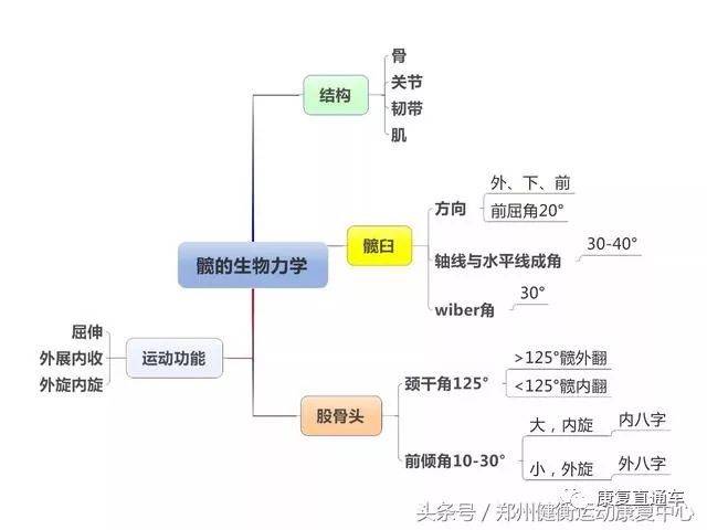 康复基础知识思维导图