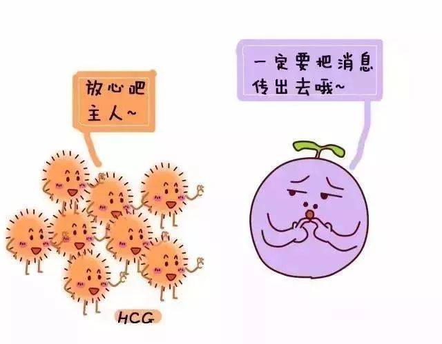 什么情况会导致验孕棒假孕 fea647dd954349df89c058470117a35a.jpeg