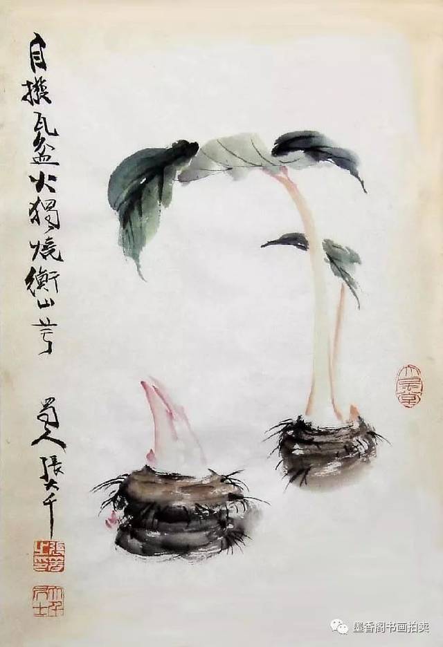 芋头入画,竟是这般美艳