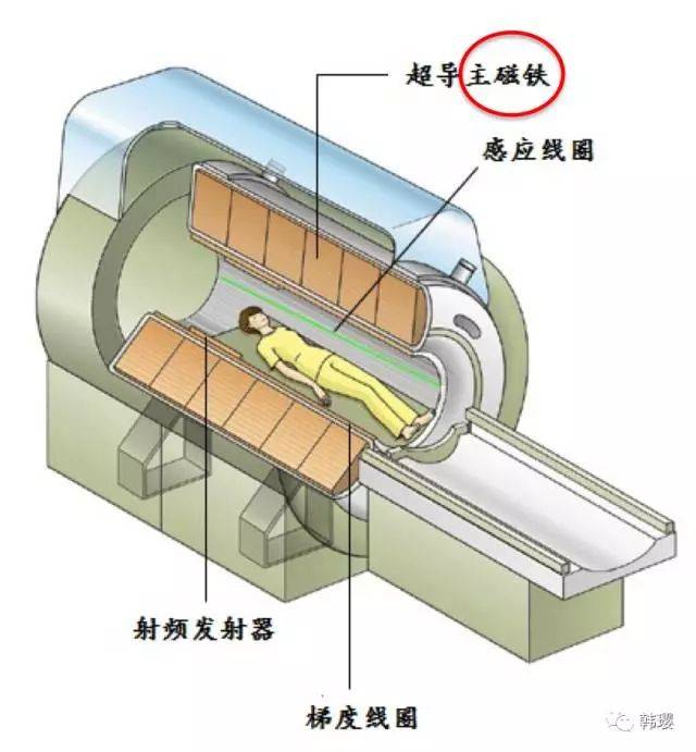 核磁共振做多了会激发癌细胞?关于核磁共振,你想了解的都在这里.