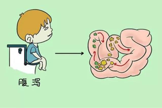 要拉屎的时候肚子绞痛是什么原理_什么拉屎的时候会出血