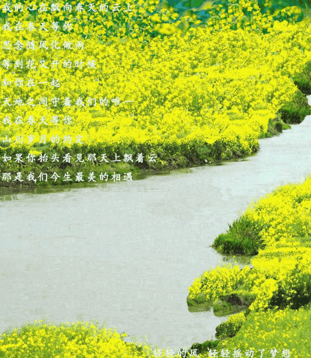 我是一个春天里出生的孩子 ‖朱双平